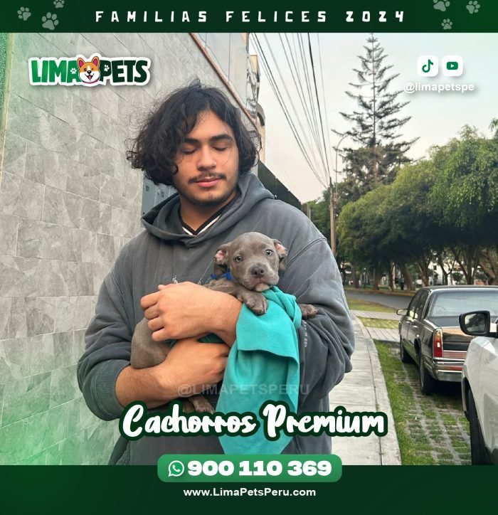 0001 Lima (5)