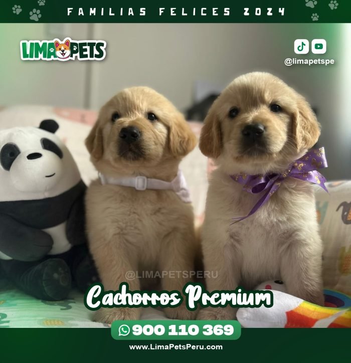 002 LimaPets (11)
