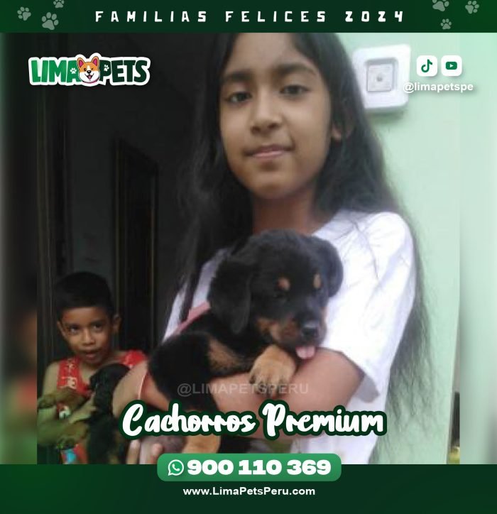 002 LimaPets (13)