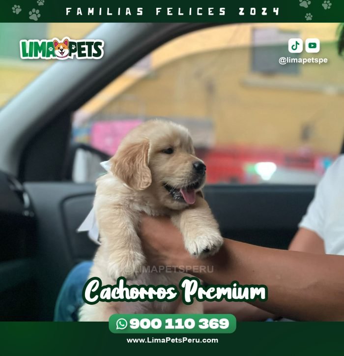 002 LimaPets (15)