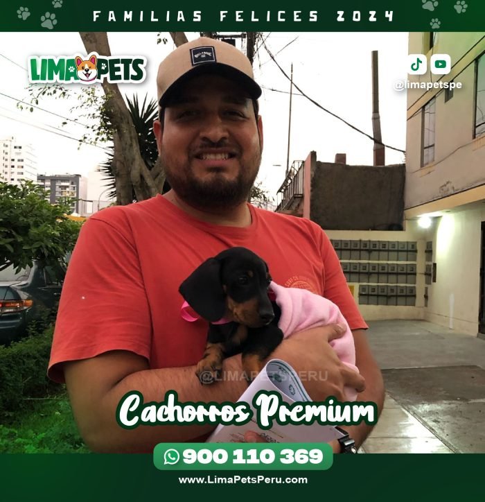 002 LimaPets (4)