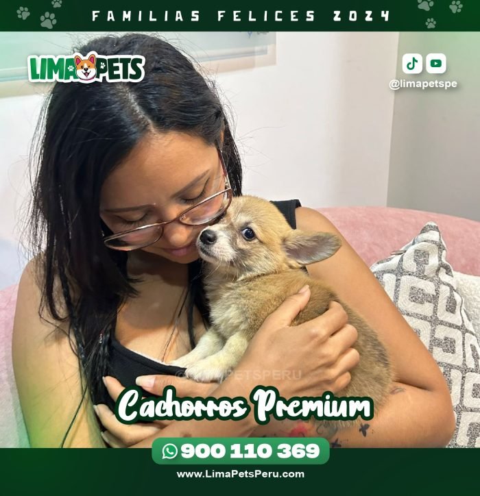 002 LimaPets (5)