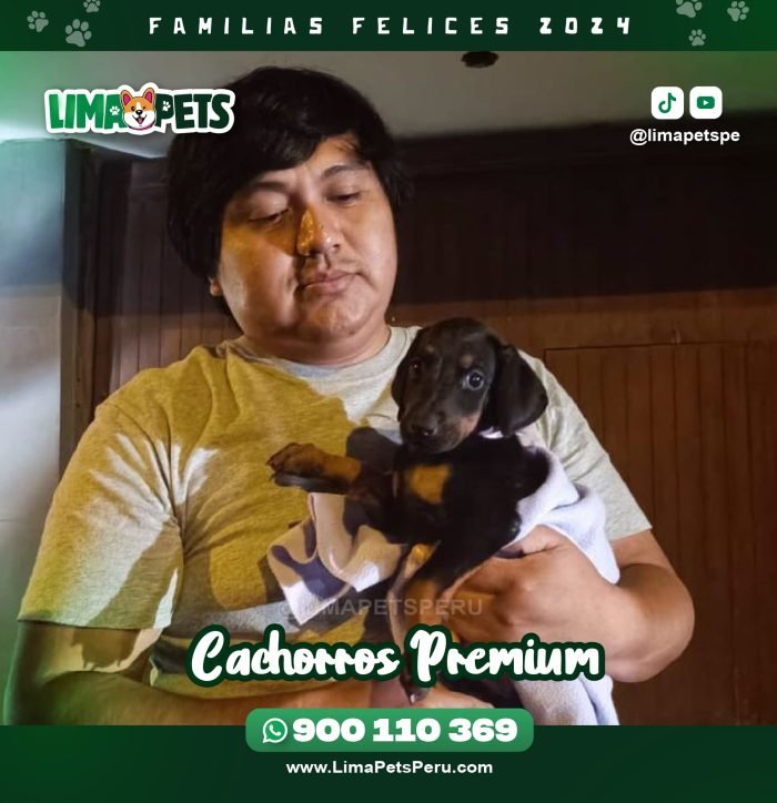 002 LimaPets (8)