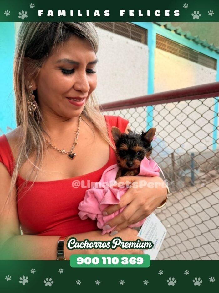 CLIENTES FELICES 900x1200px (1)
