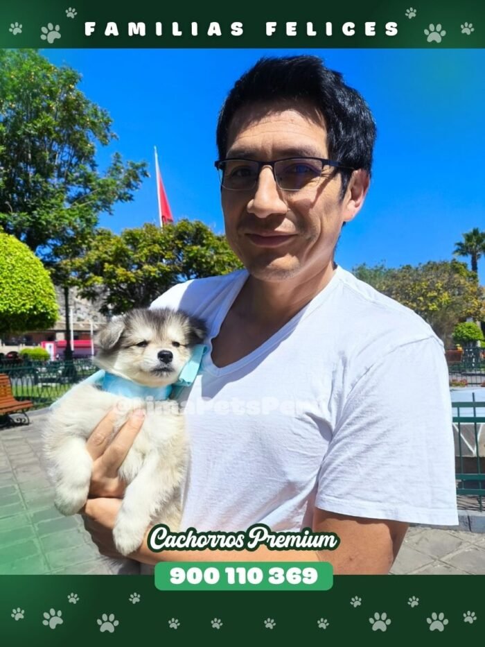 CLIENTES FELICES 900x1200px (4)